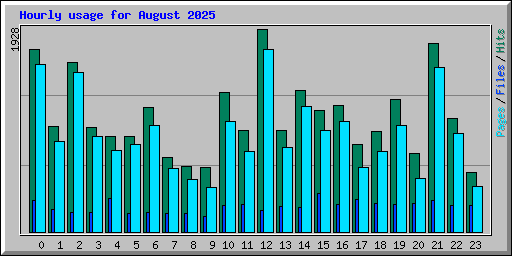 Hourly usage for August 2025