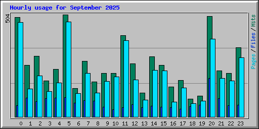 Hourly usage for September 2025