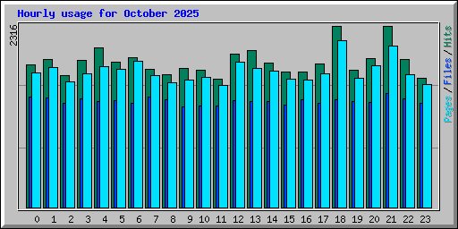 Hourly usage for October 2025