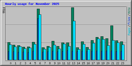 Hourly usage for November 2025