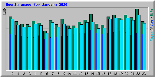 Hourly usage for January 2026