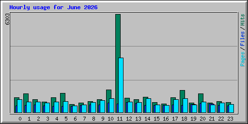 Hourly usage for June 2026